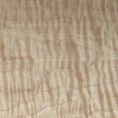 Curly Maple wood sample