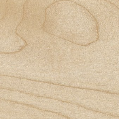 Maple wood sample