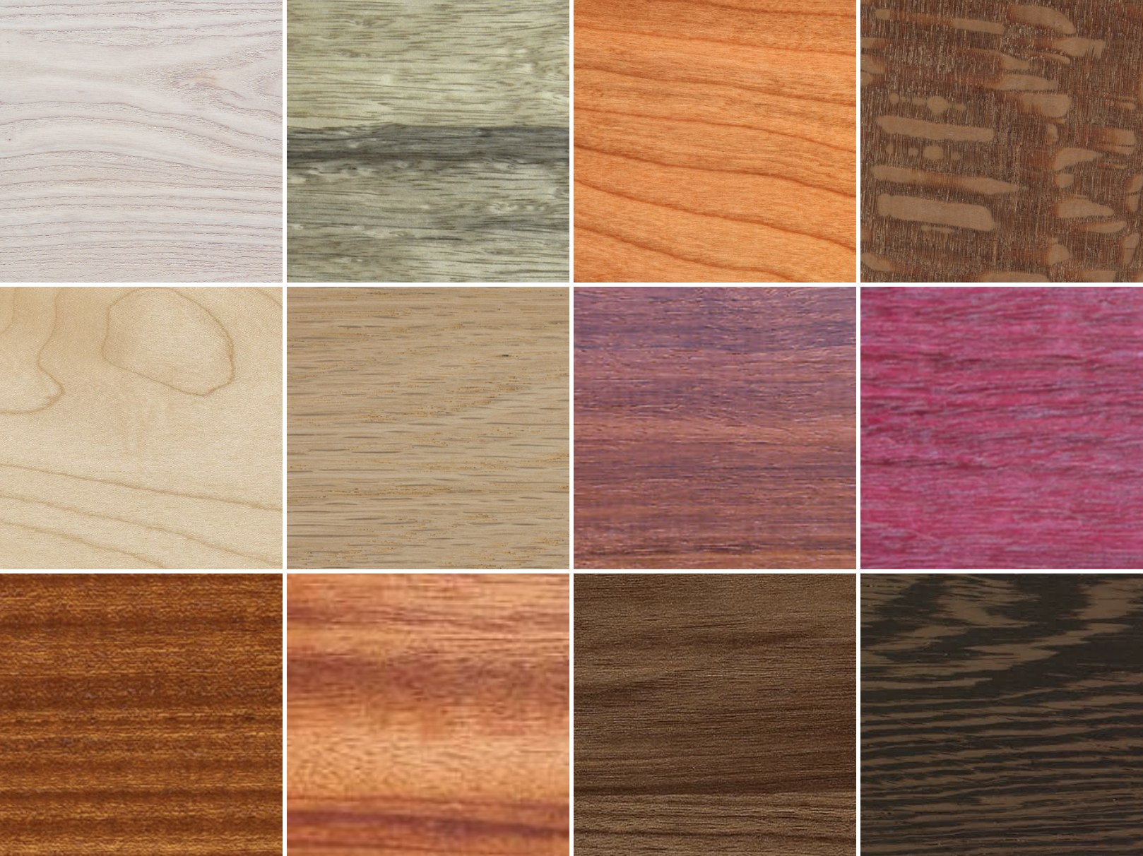 A sampling of hardwood species we work with